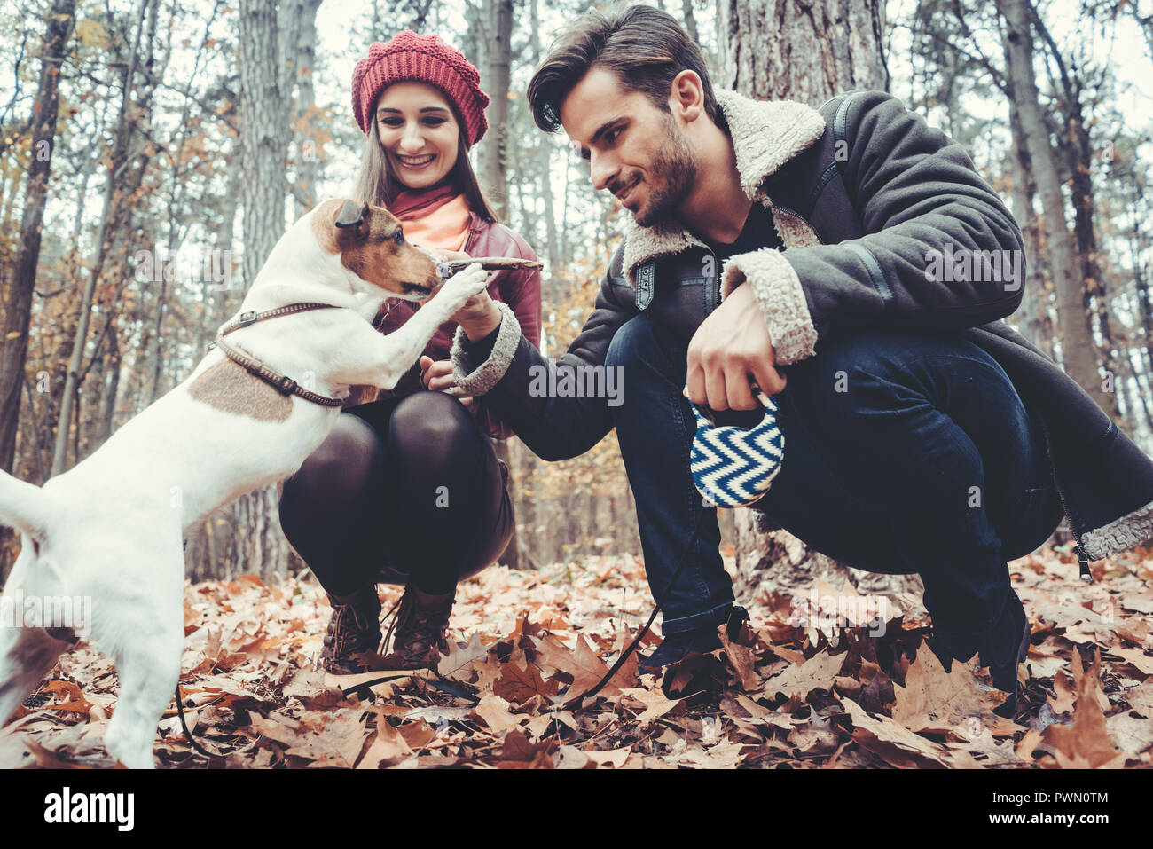 Woman and man walking their dog throwing a stick Stock Photo Alamy