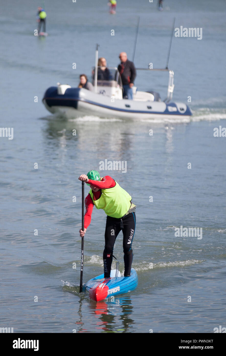 paddle board race Stock Photo Alamy