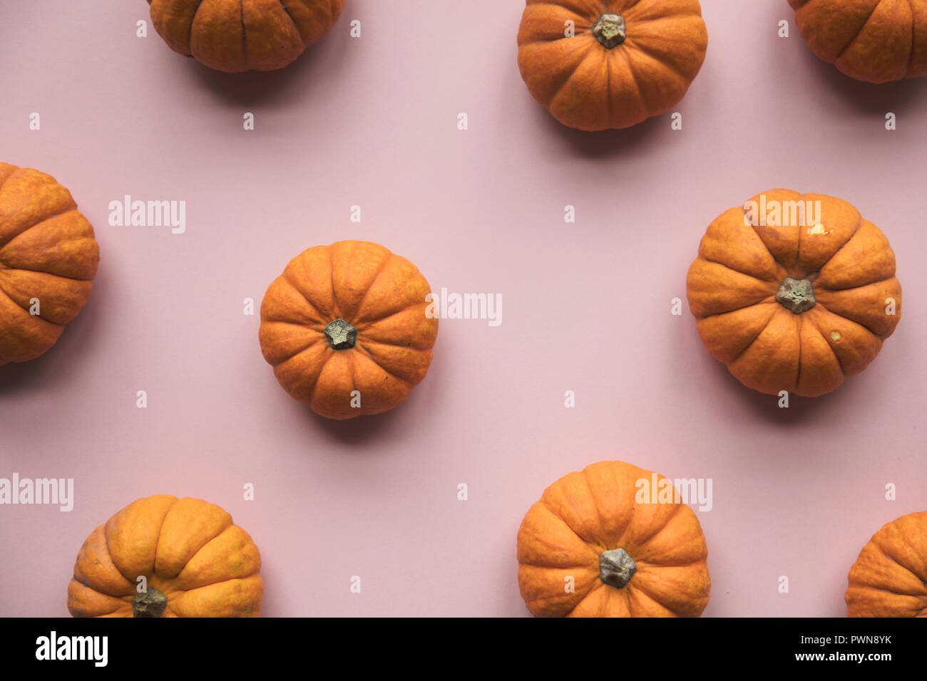 Autumn pumpkins on a pastel pink background Stock Photo - Alamy