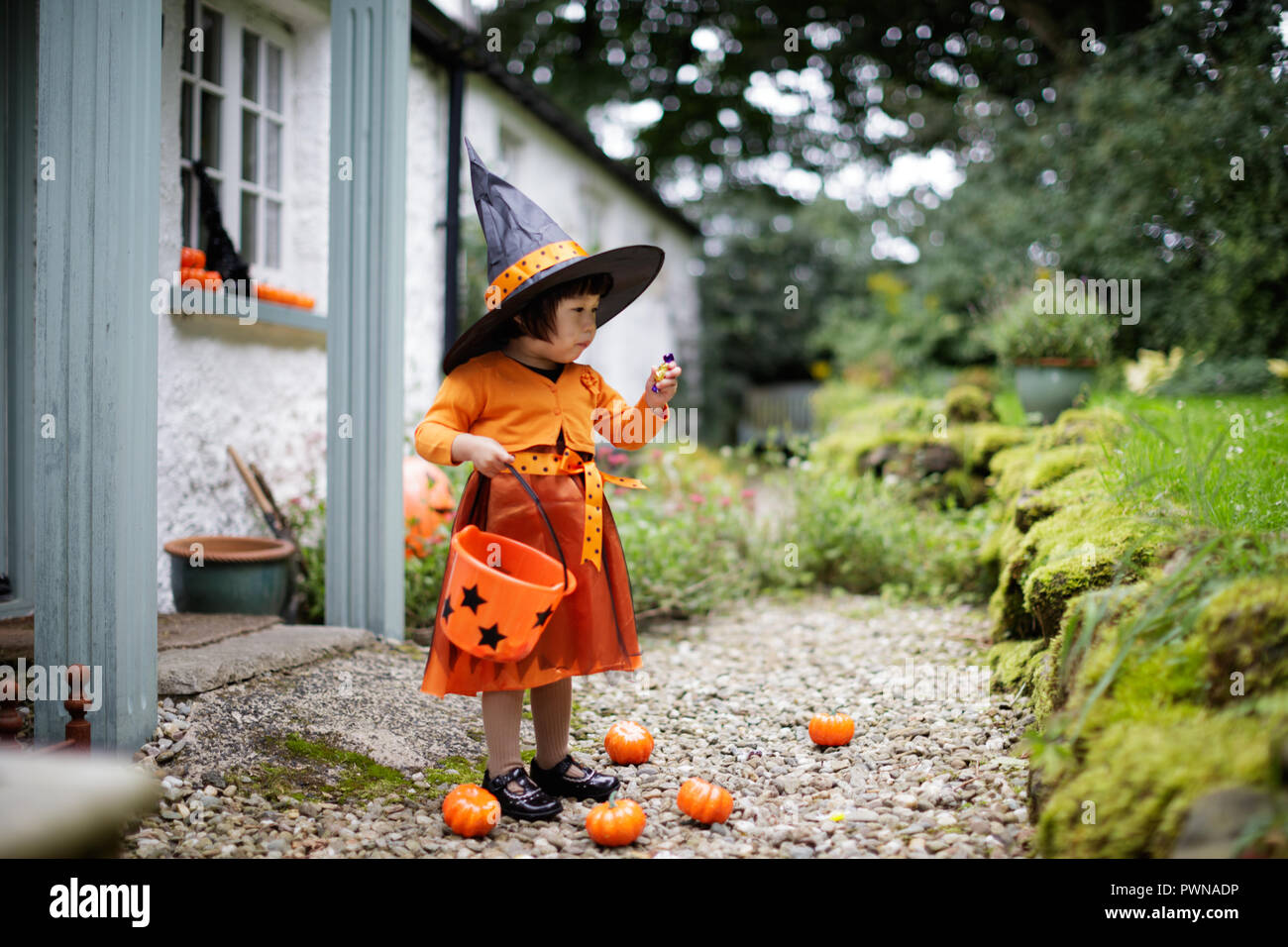 Toddler girl dressed up playing in Halloween party Stock Photo Alamy
