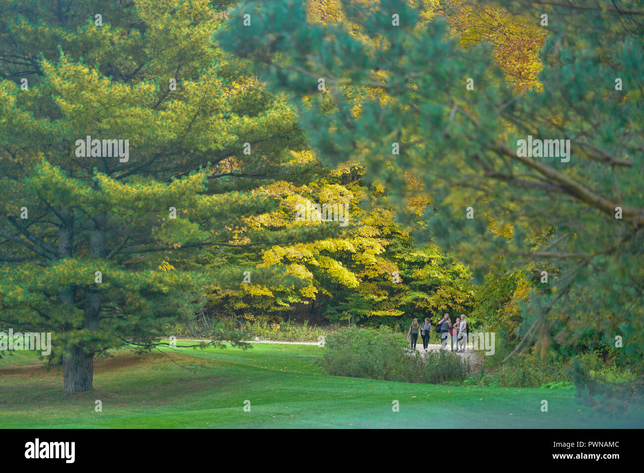 Young girls on hike at  Autumn Season on the golf course at Horseshoe Valley near Barrie,Ontario,Canada,North America, Stock Photo