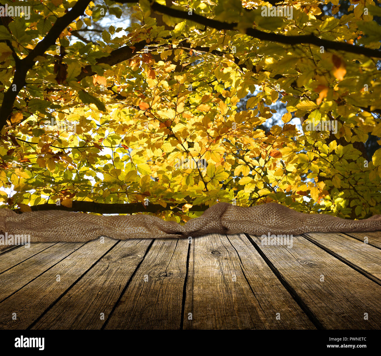 Empty Wooden Deck Table With Autumn Forest Background Ready For Product Display Montage Stock Photo Alamy