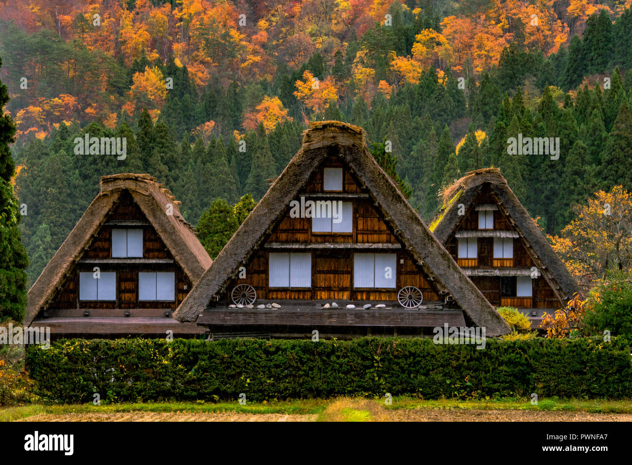 Traditional Houses in the Gassho Style in Ogimachi Village. A UNESCO World Heritage Site in the Japan - Gifu Prefecture. Stock Photo