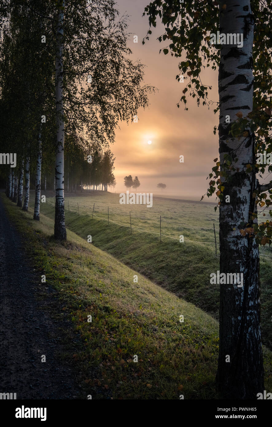 Idyllic sunrise landscape with road and fog at beautiful autumn morning in Finland Stock Photo