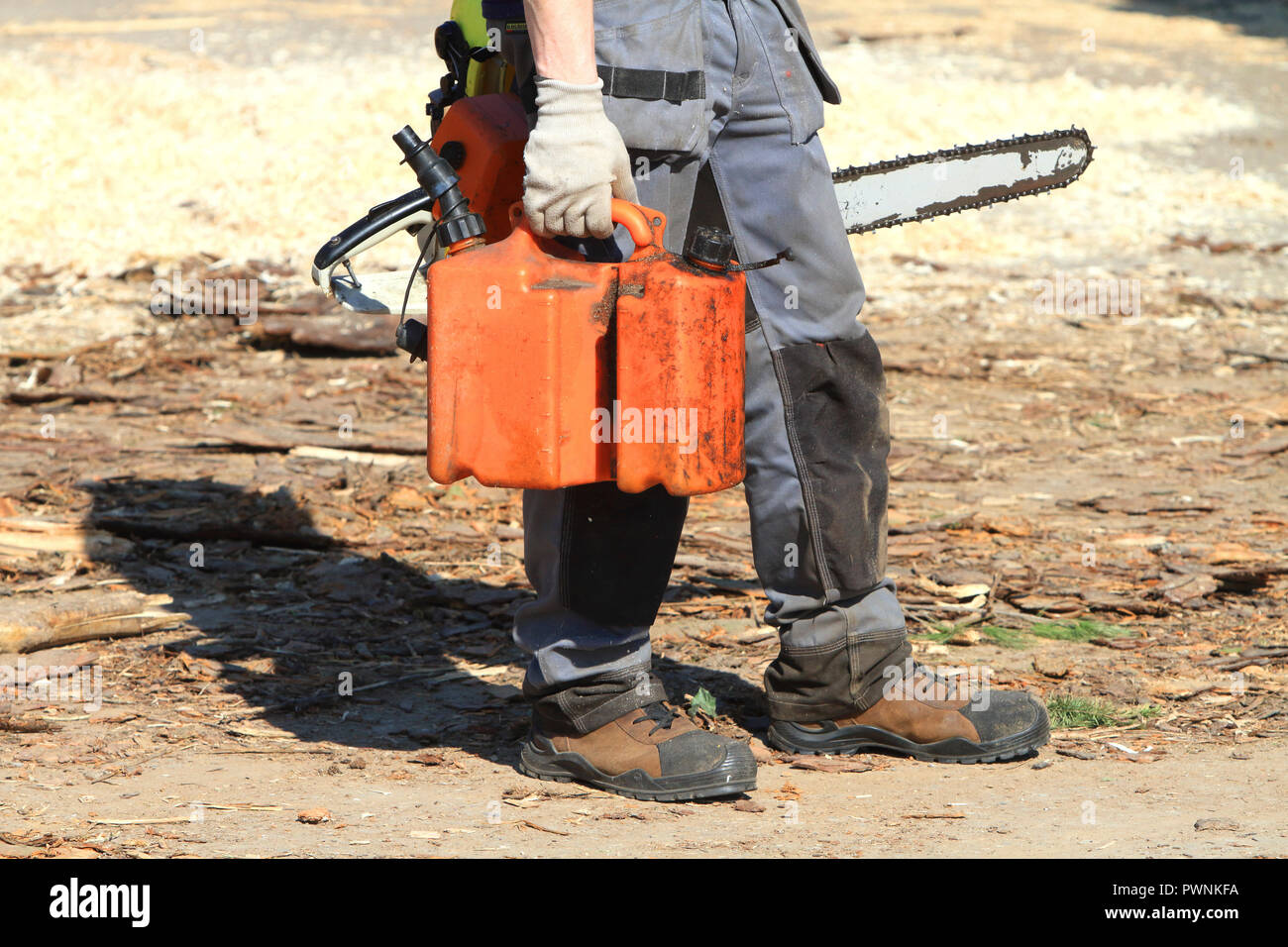 Bucheron with chainsaw Stock Photo - Alamy
