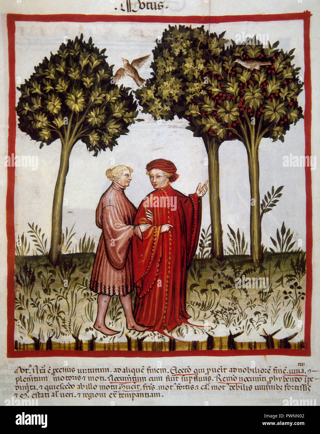 Tacuinum Sanitatis. 14th century. Medieval handbook of health. Miniature depicting a walk in the countryside. Folio 102v. Stock Photo