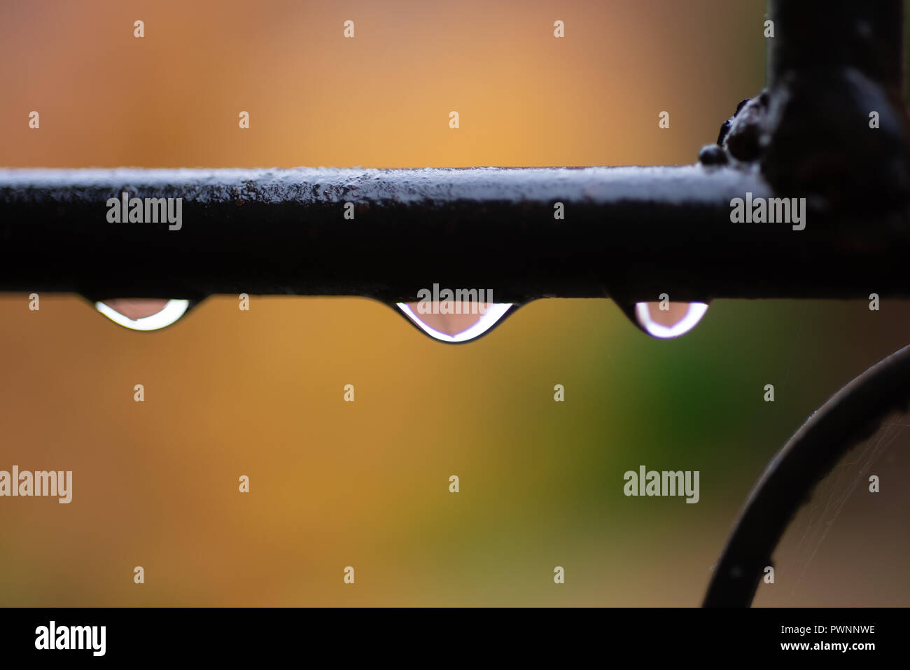 Rain drops hanging from a black bar of a  wrought iron gate with a soft orange background. Stock Photo