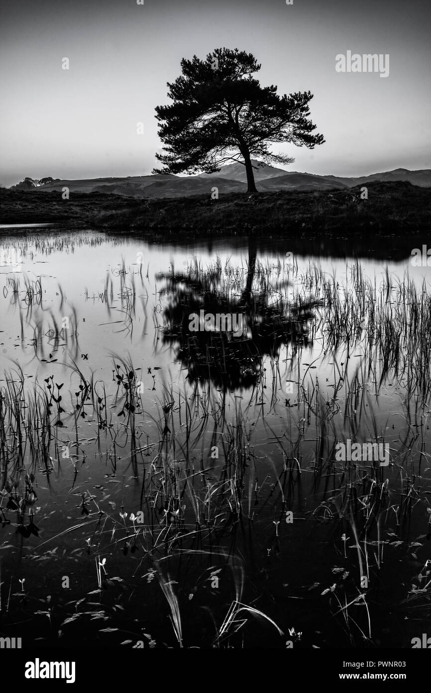 Kelly hall tarn, lower lake district cumbria Stock Photo