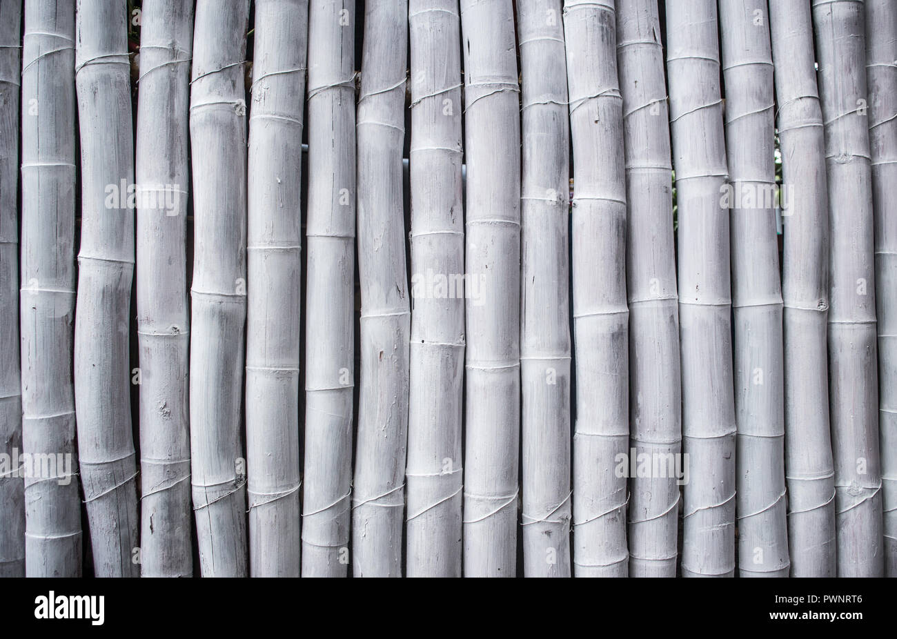 Textured background of a wall of painted white bamboo sticks Stock ...