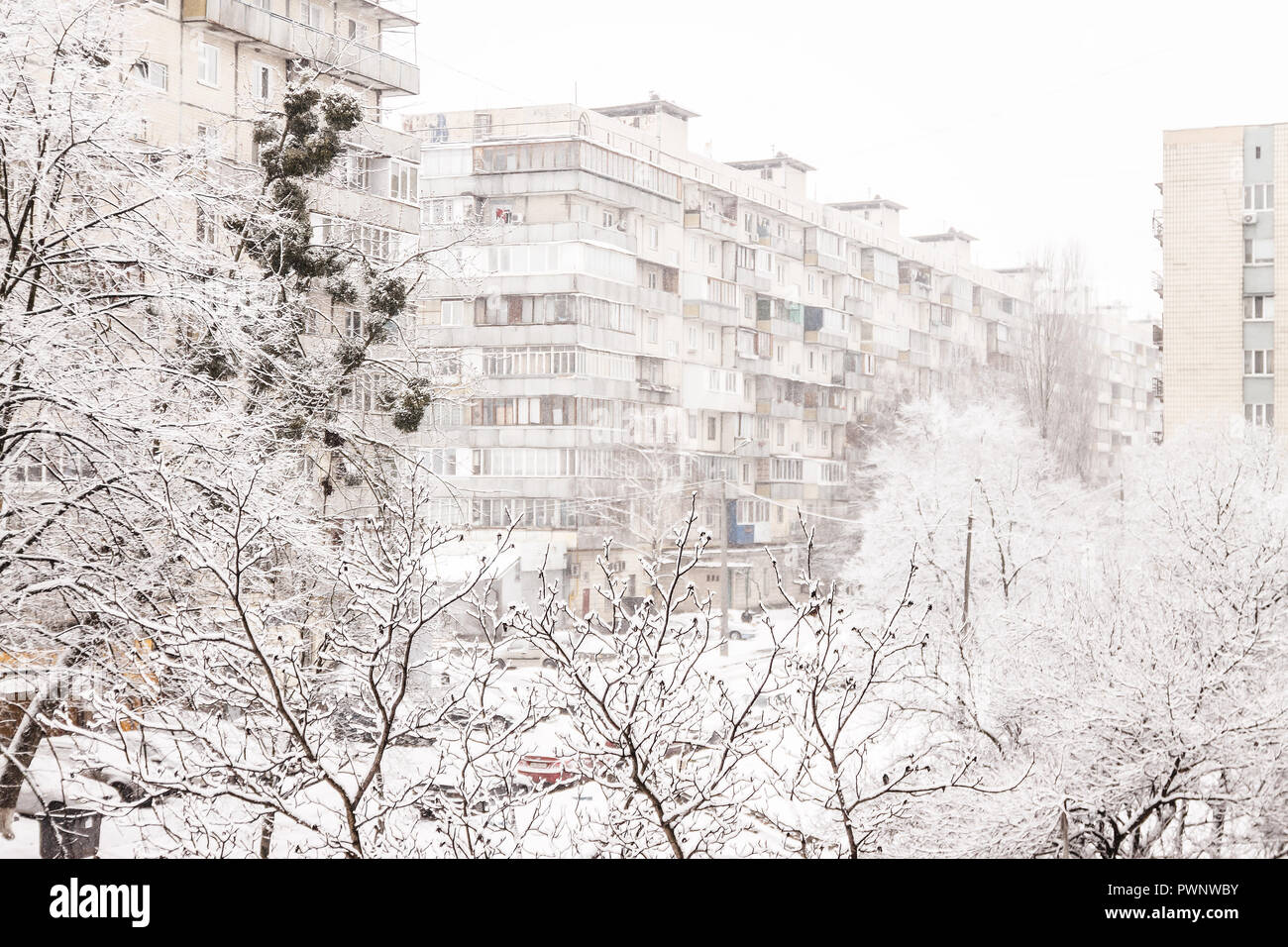 Trees under a thick layer of snow on the background of high-rise ...