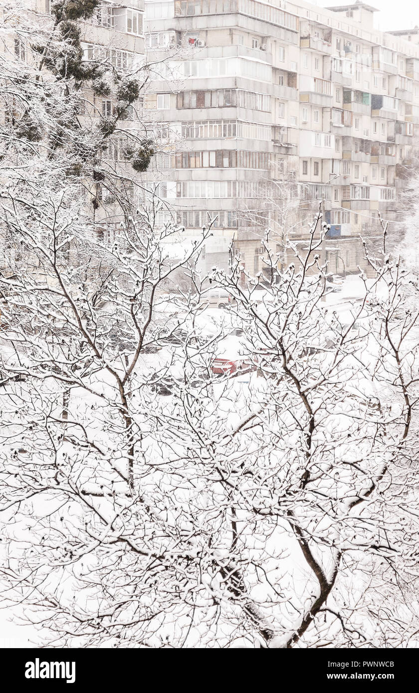 Trees under a thick layer of snow on the background of high-rise ...