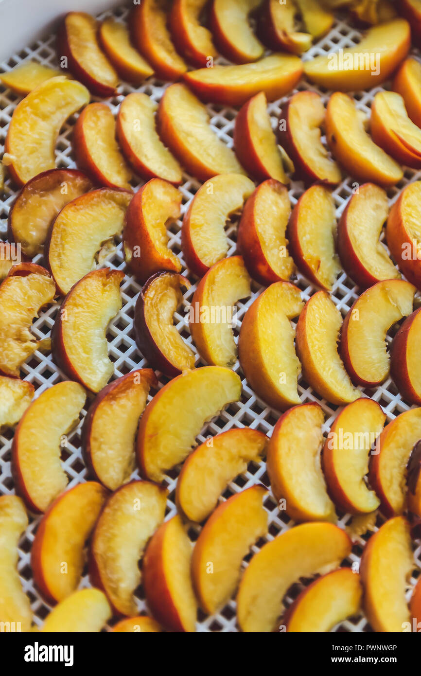 Peaches dried in a dehydrator dryer. A way to preserve vitamins
