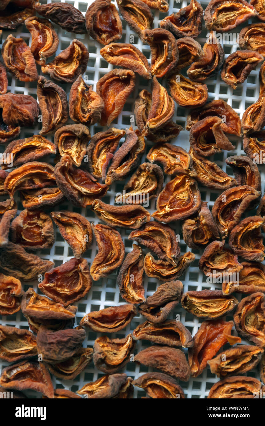 Apricot dried in the dryerdehydrator. A way to preserve vitamins