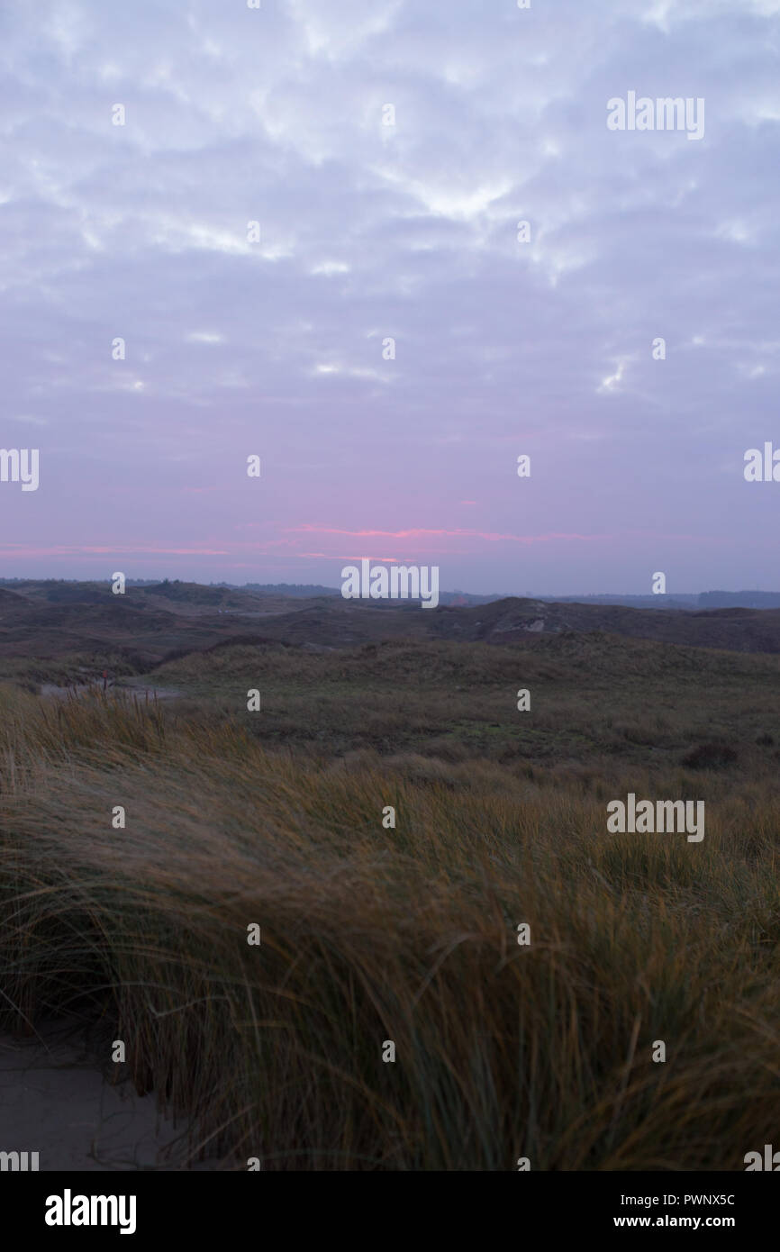 Dunes in the Netherlands Stock Photo - Alamy