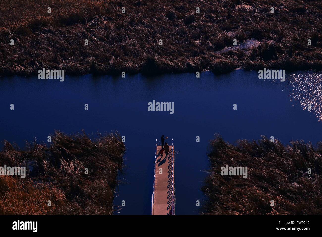 Longfeng High Resolution Stock Photography and Images - Alamy