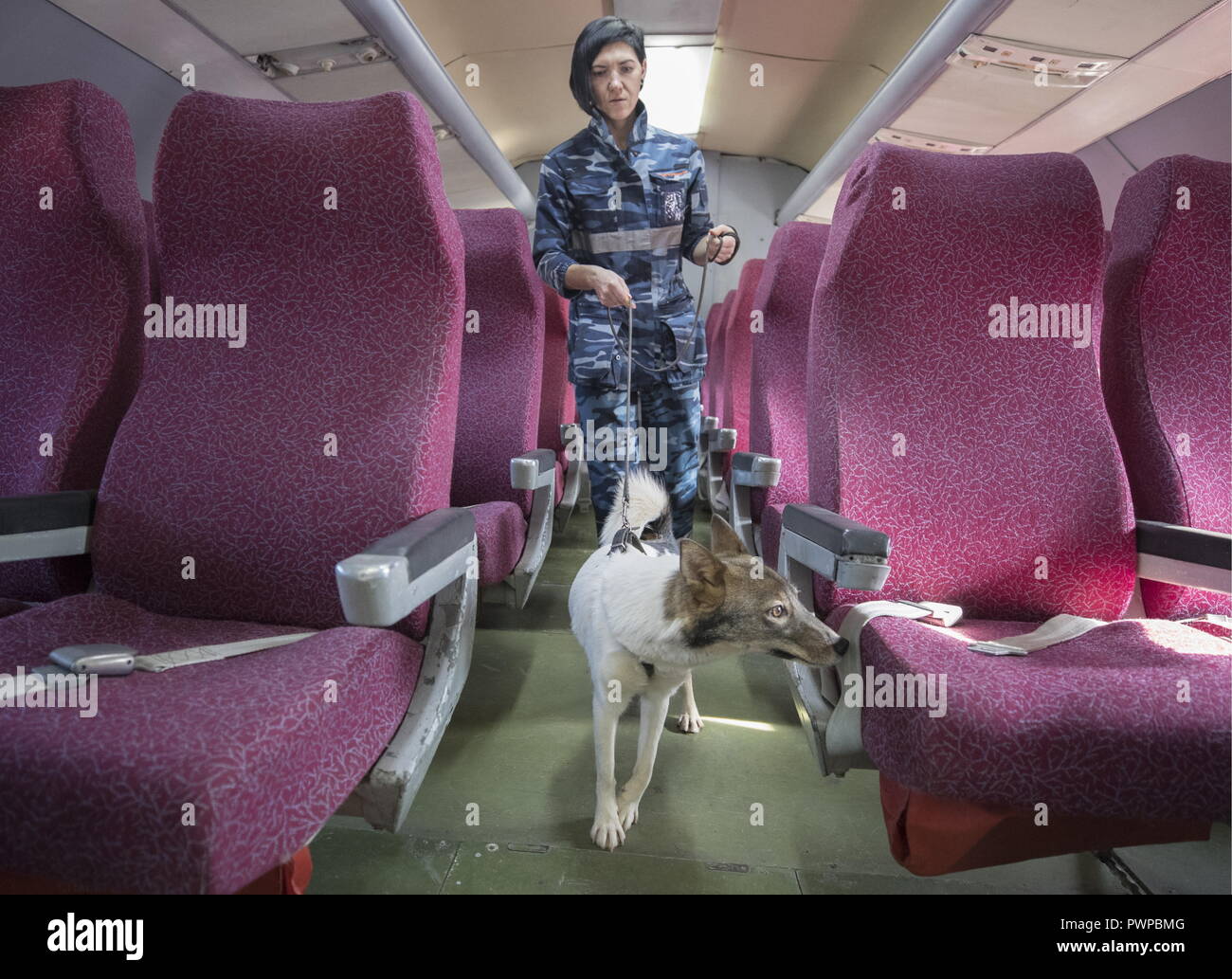 Sulimov Dog High Resolution Stock Photography and Images - Alamy
