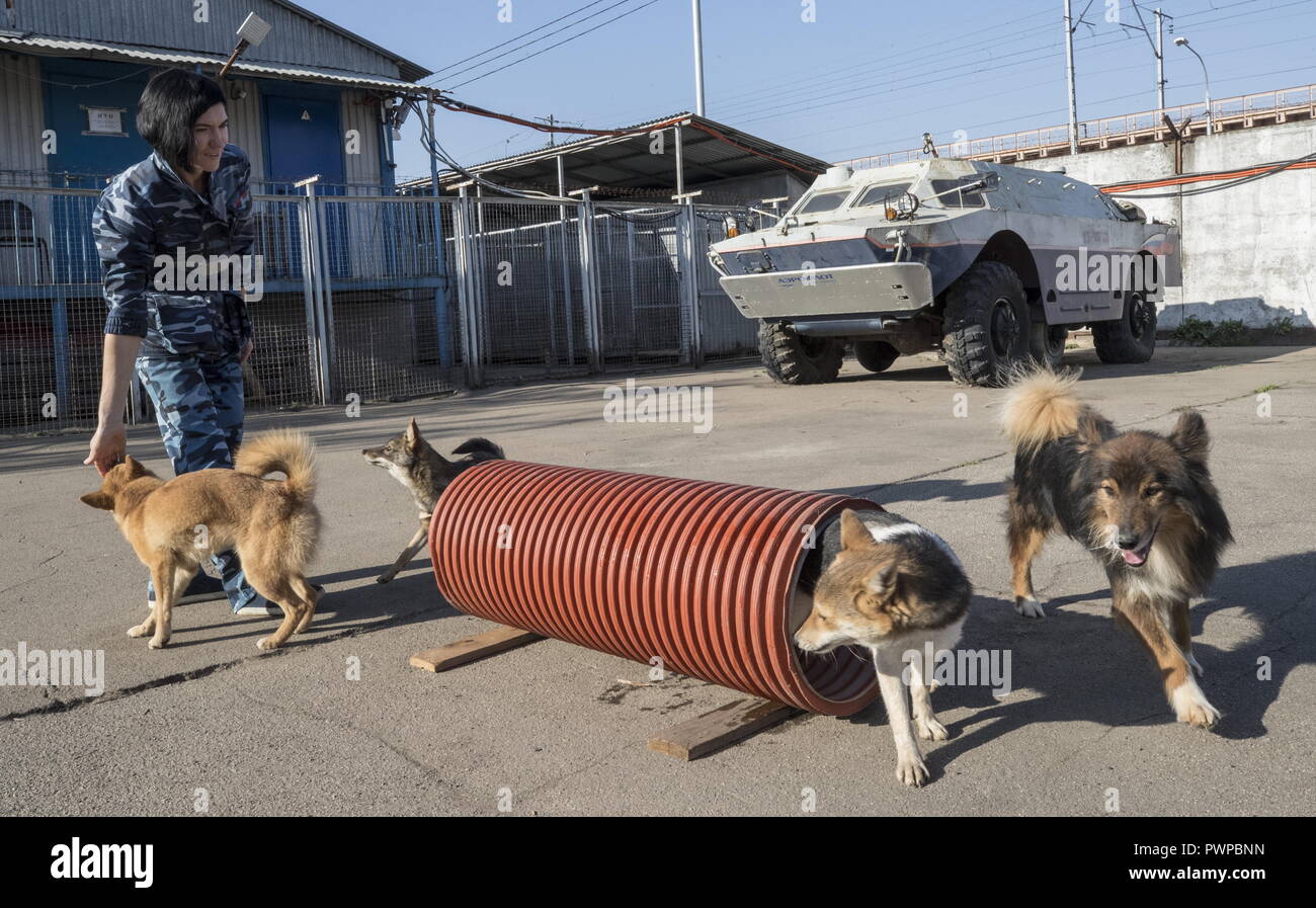 Sulimov Dog High Resolution Stock Photography and Images - Alamy
