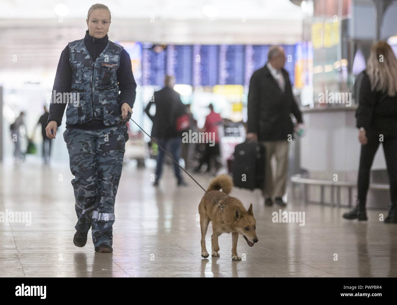 Sulimov Dog High Resolution Stock Photography and Images - Alamy