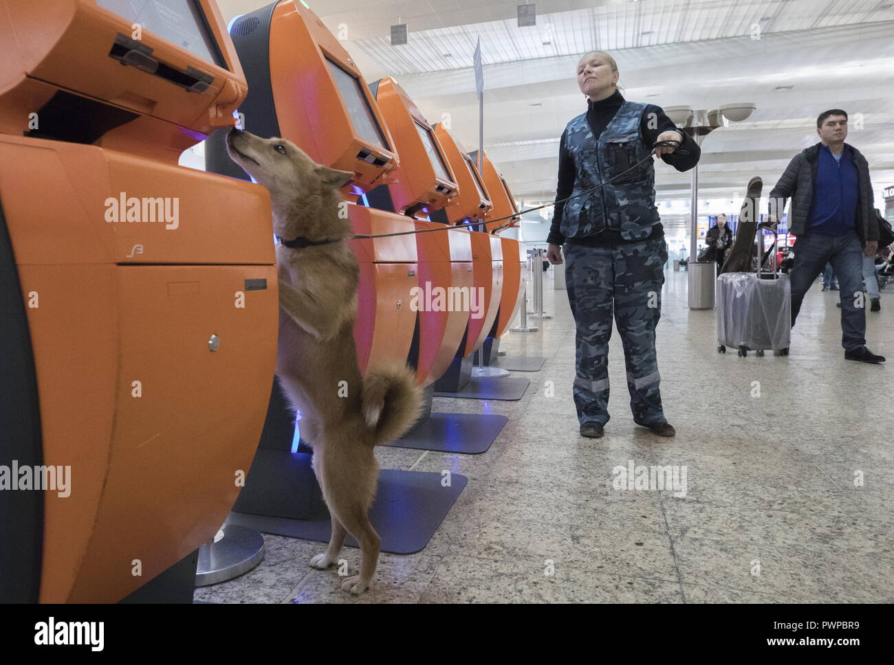 Sulimov Dog High Resolution Stock Photography and Images - Alamy