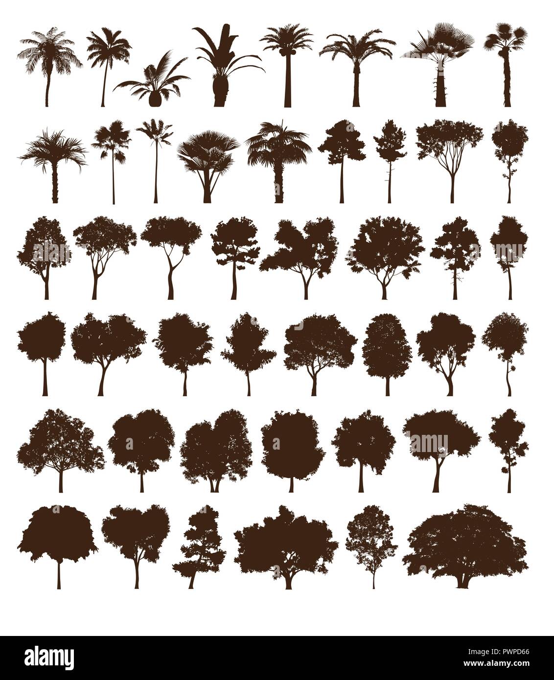 big vector set of tree silhouettes for your project Stock Vector