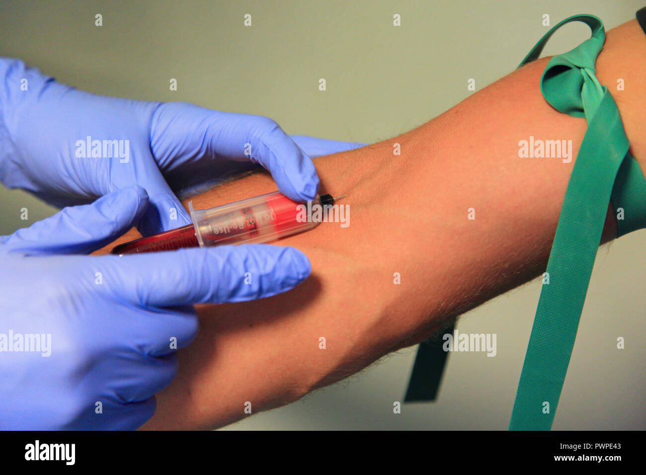 Circulatory anatomy hires stock photography and images Alamy