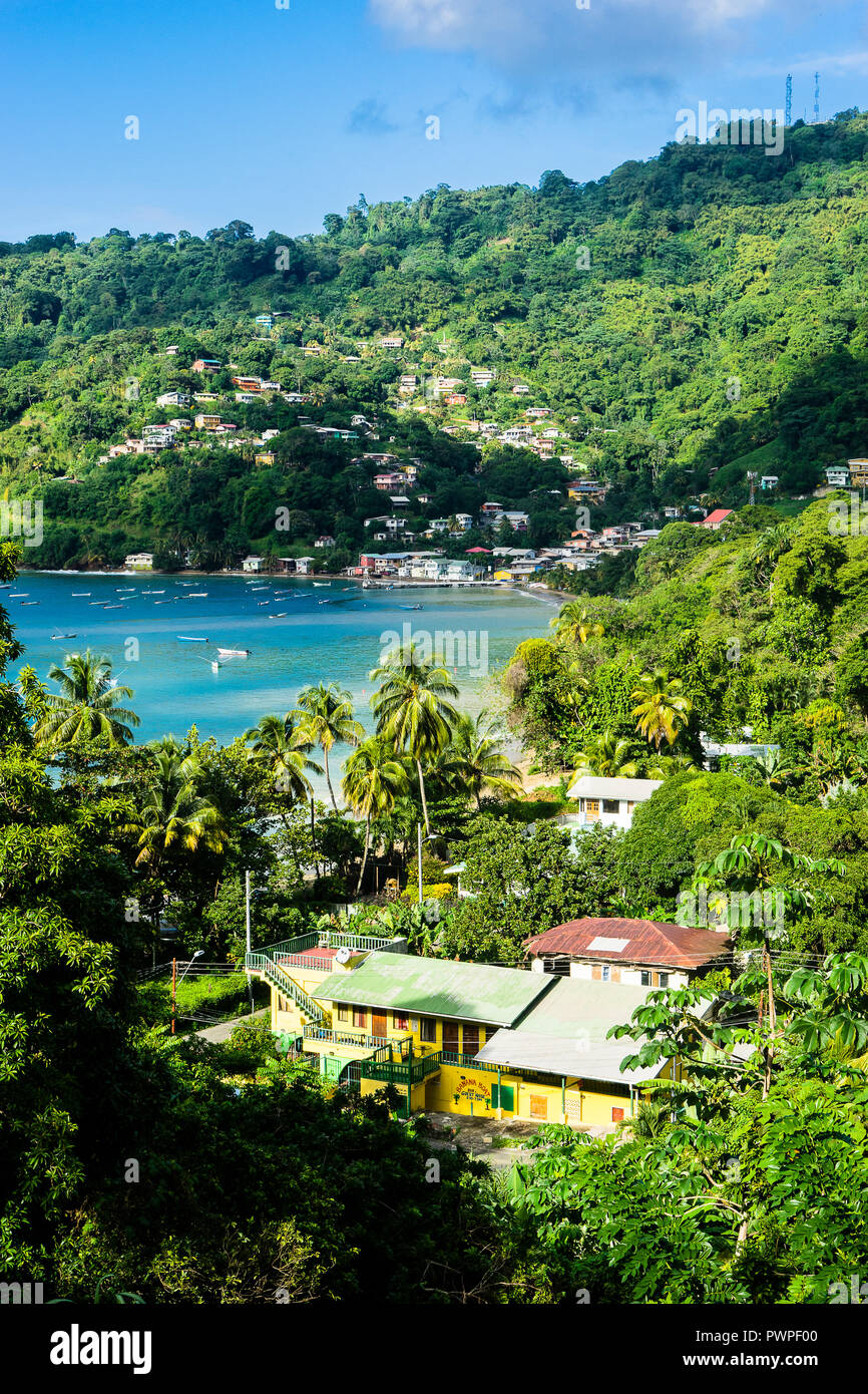 on the village and the nature, Charlotteville, Trinidad and Tobago, West Indies, South America Stock Photo - Alamy