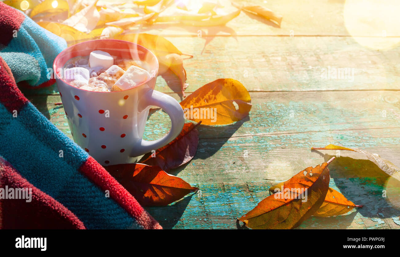 Autumn composition. Cup of cocoa with marshmallow, blanket, autumn leaves on sunny background Stock Photo