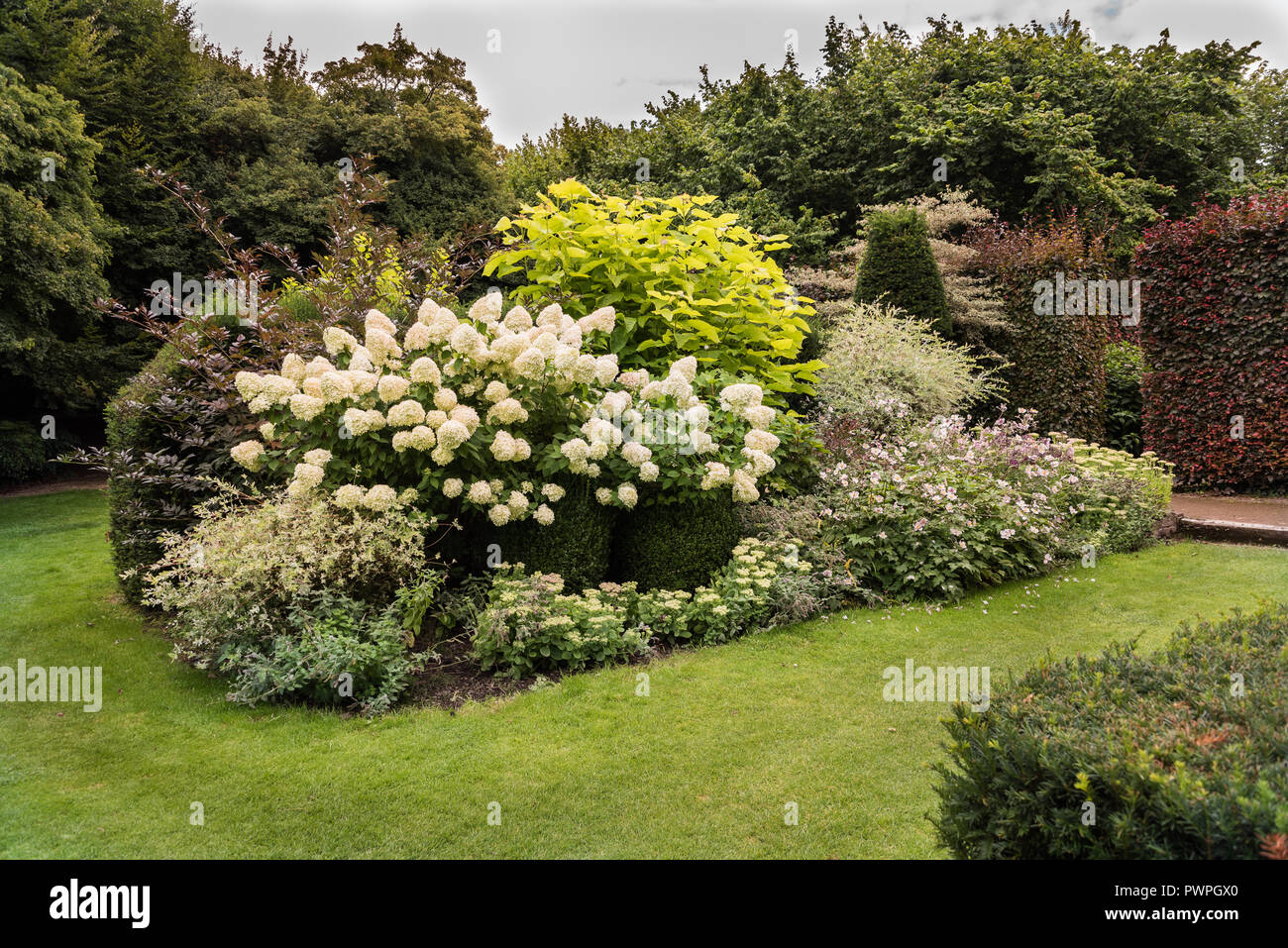 Mixed borders with flowers in a country garden Stock Photo - Alamy