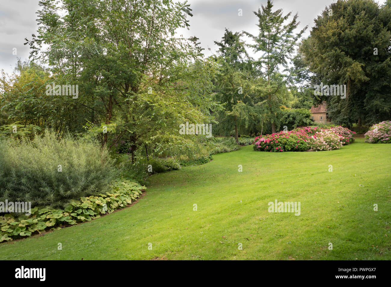 Mixed borders with flowers in a country garden Stock Photo - Alamy