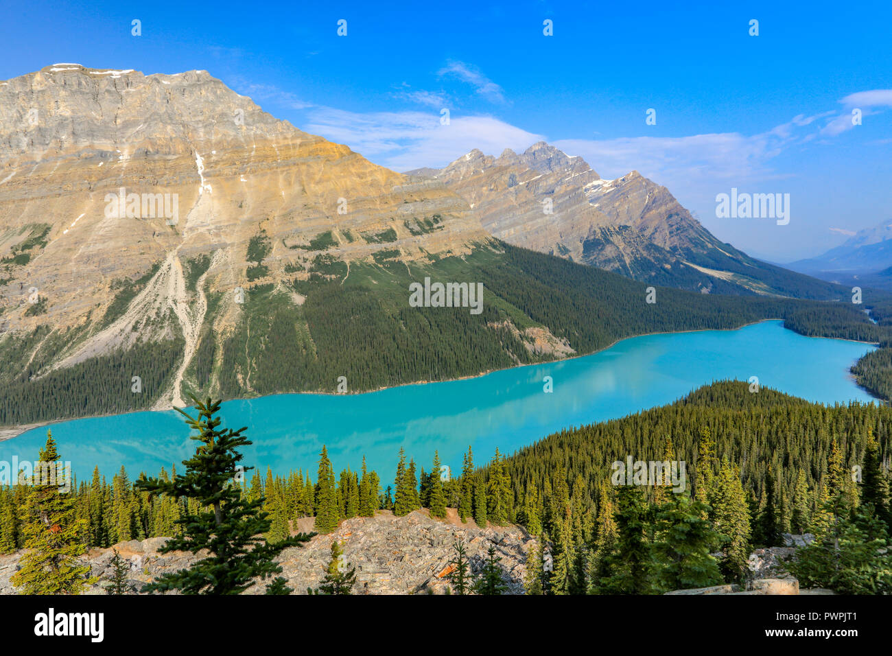 Peyto Lake in Banff National Park Canada Stock Photo - Alamy