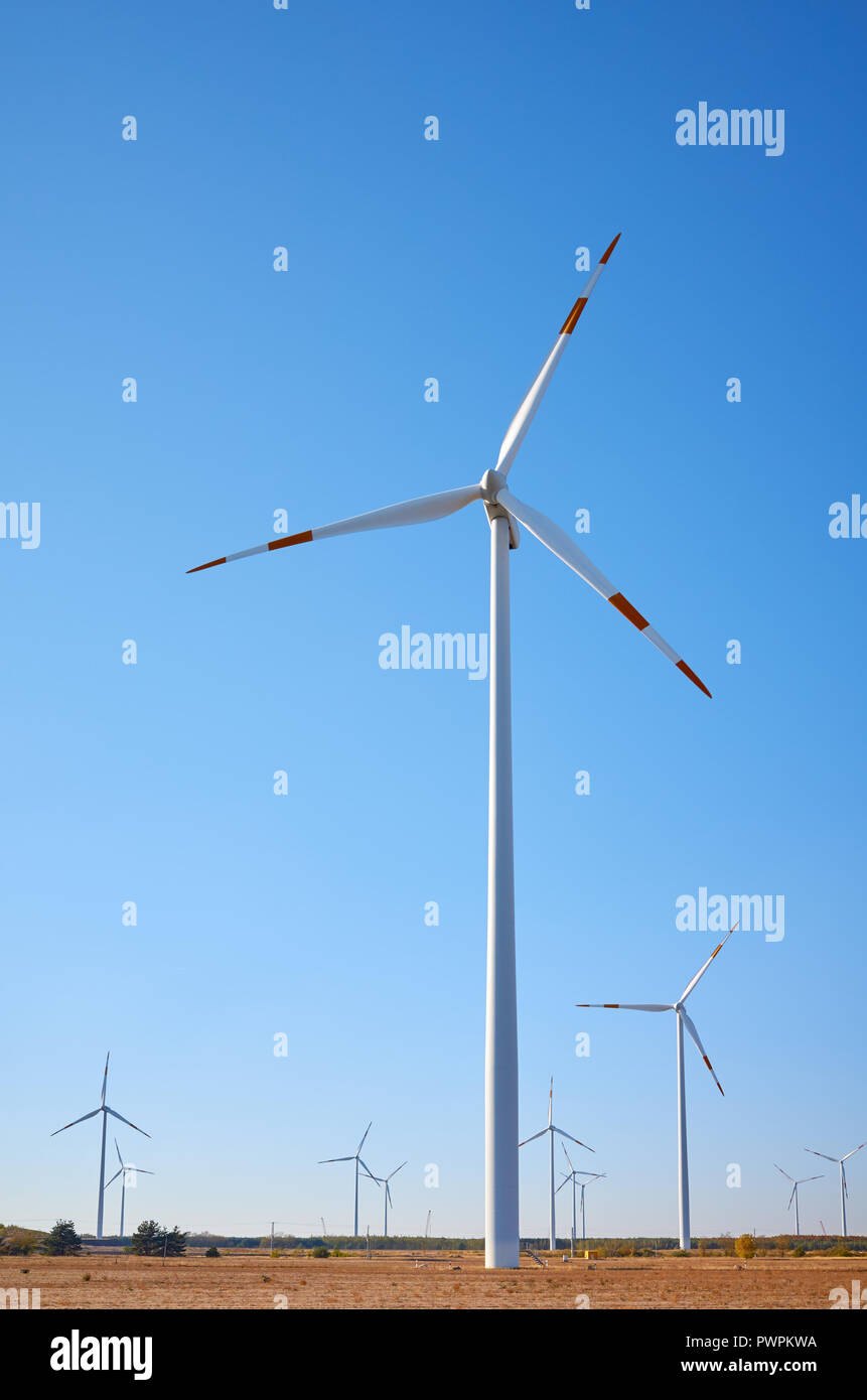 Picture of a wind farm at sunset. Stock Photo