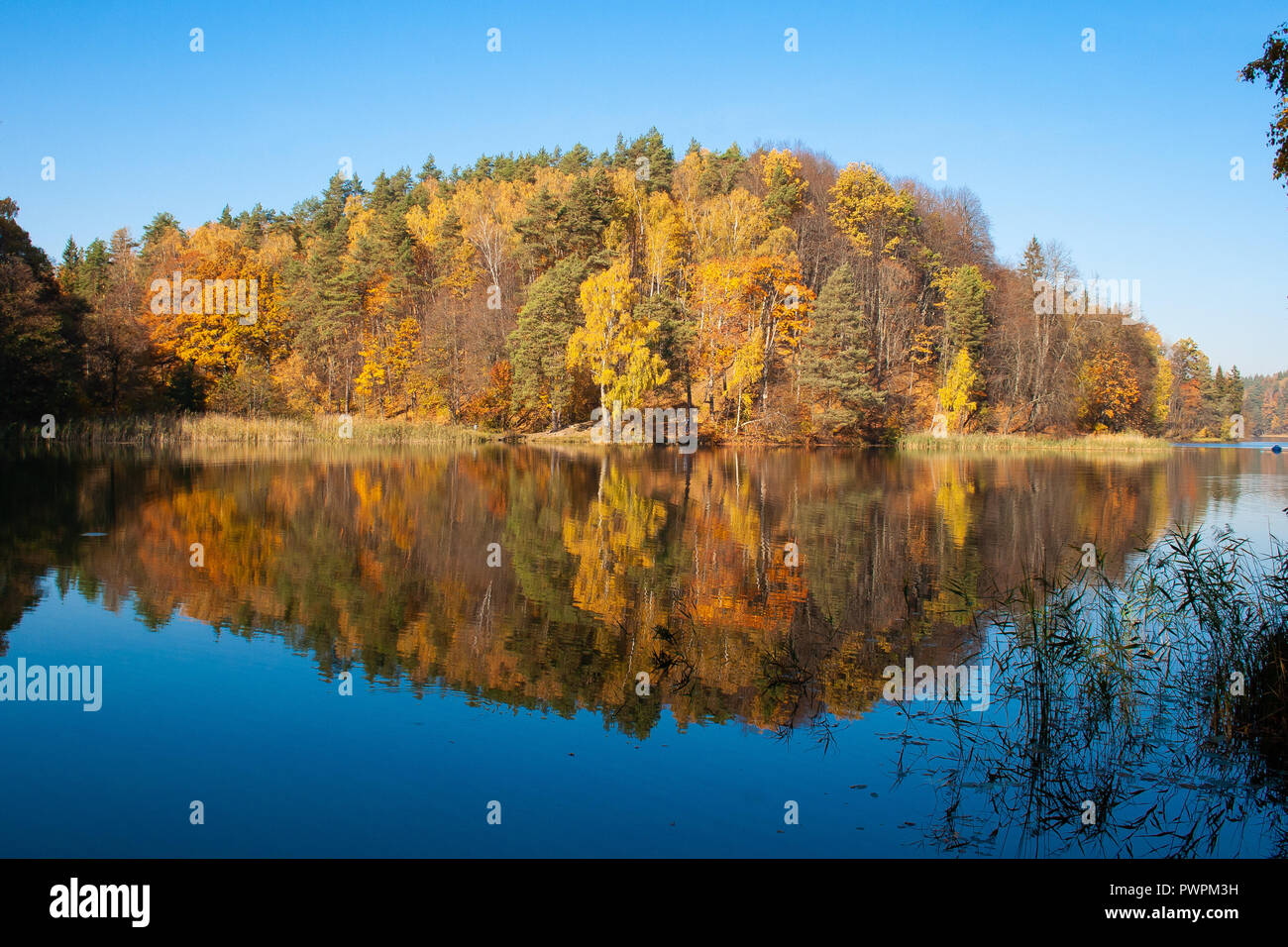 Beautiful colorful trees forest in Autumn reflected in a blue lake like ...