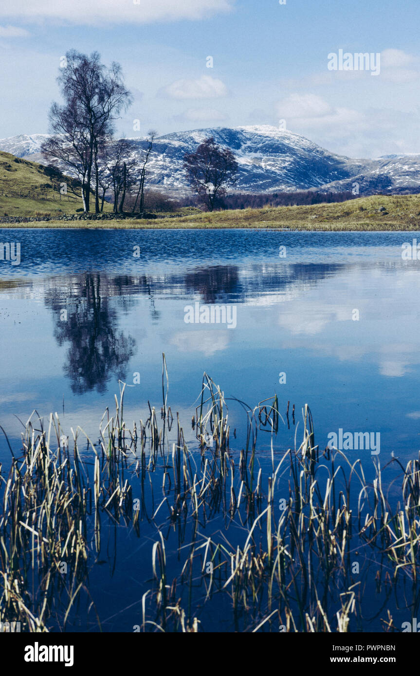 Small Tarn Lake Overlooking Old Man Coniston in the Winter, Lake District England UK Stock Photo