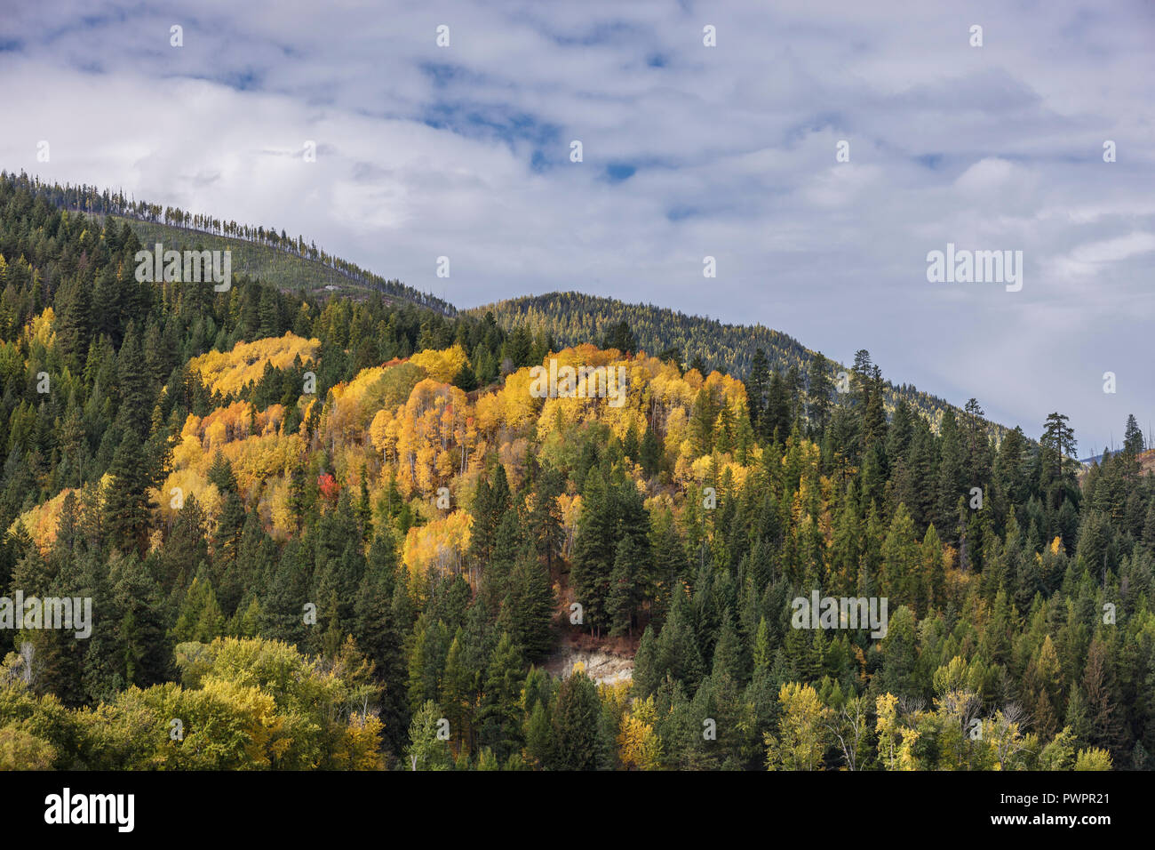 Bonners ferry idaho hires stock photography and images Alamy