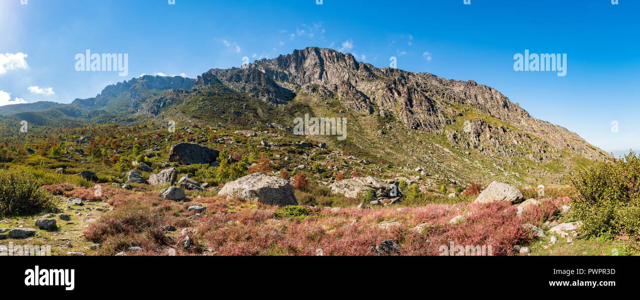 Panoramic view of Monte Cardo located in the Regional Natural Park of Corsica, on a bright sunny day with green and red foliage and boulders. Stock Photo