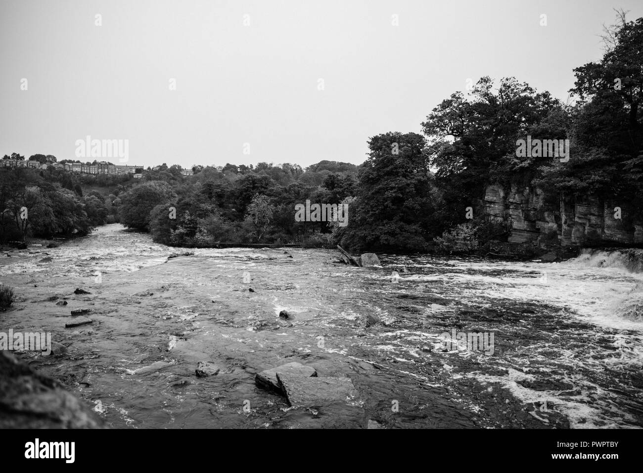 The River Swale in Richmond, Yorkshire on a overcast Autumn day. (swollen river, fast flowing, fastest flowing river in England, Swaledale). Stock Photo