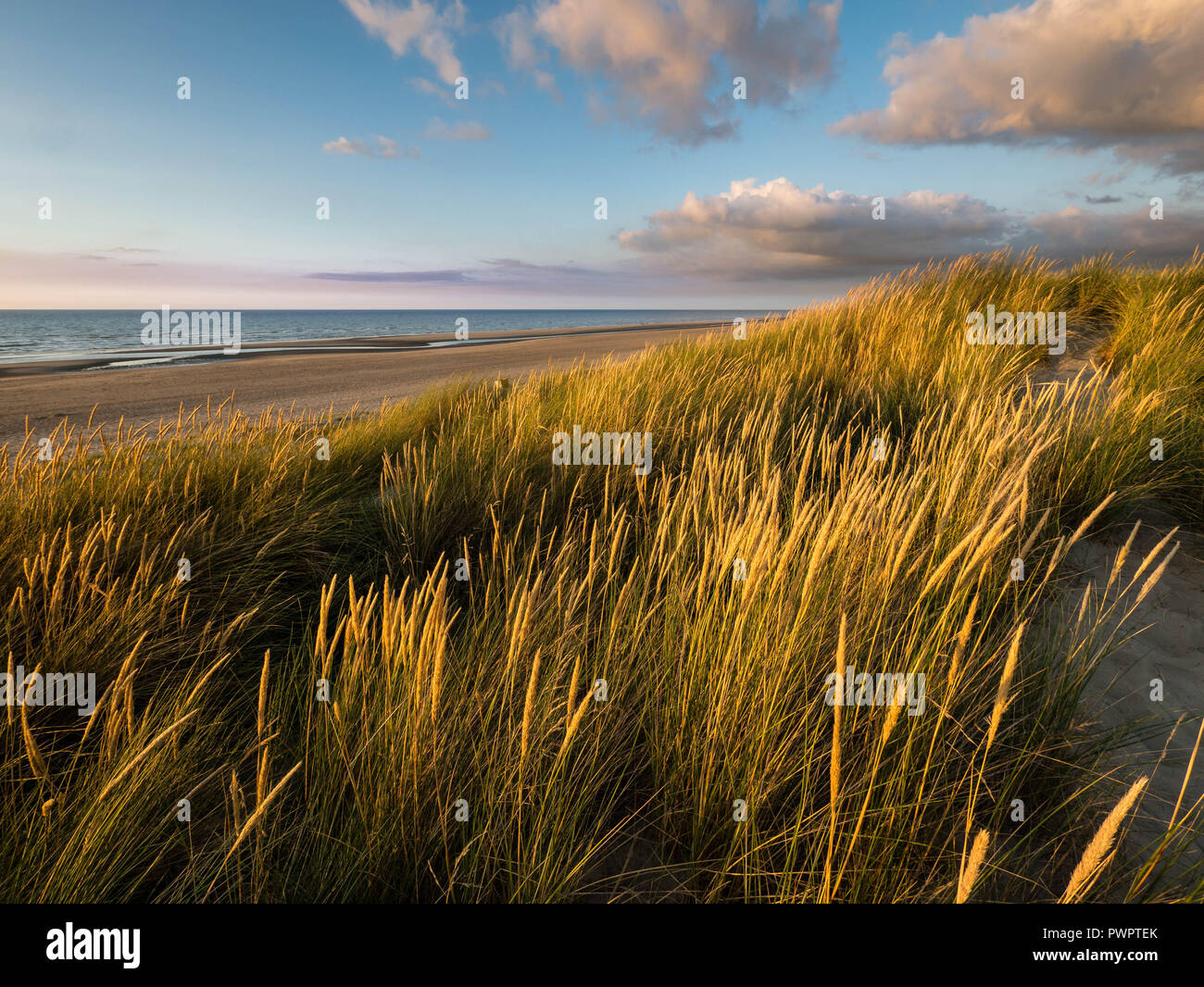Coastal dunes from ocean hi-res stock photography and images - Alamy