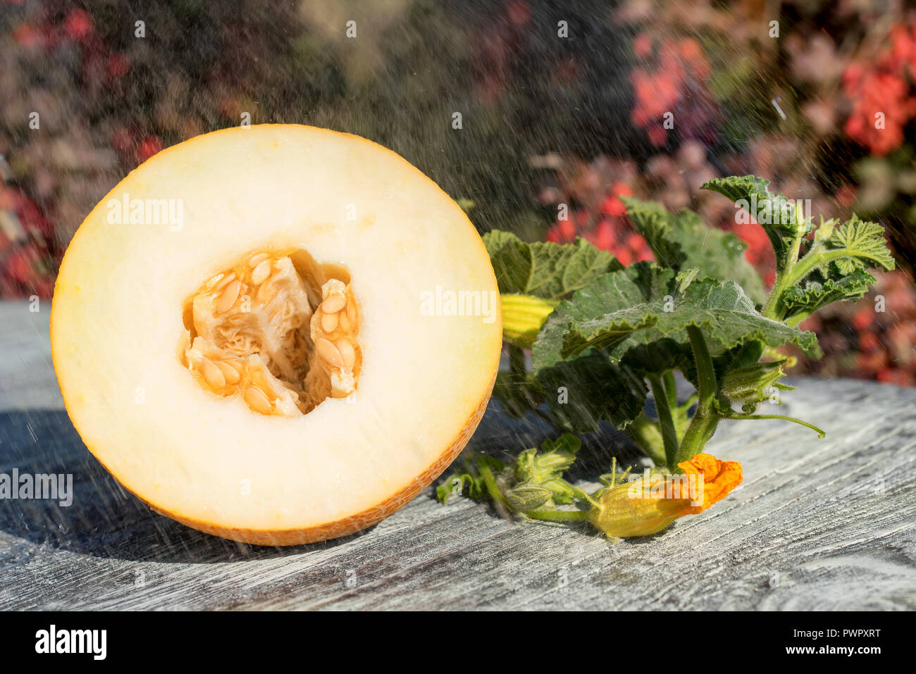 Half of melon on wooden table outdoors Stock Photo