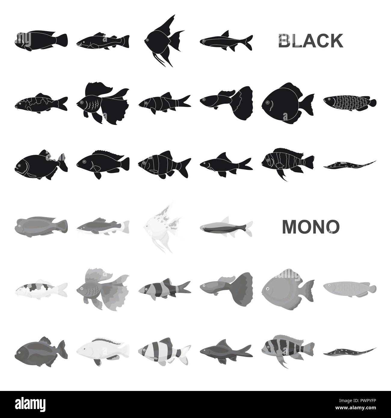 Different types of fish black icons in set collection for design. Marine and aquarium fish vector symbol stock illustration. Stock Vector