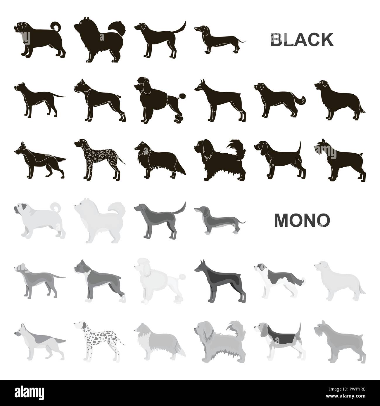 animal,beagle,bernard,black,boxer,breed,breeding,breeds,bull,care,carnivorous,chao-chao,collection,collie,concept,dachshund,dalmatian,decorative,design,different,doberman,dog,element,eps,face,gray,hair,icon,illustration,isolated,labrador,logo,mammal,mittelschnauzer,official,paw,pet,pikines,pit,poodle,pug,retriever,set,shepherd,sign,symbol,vector,web,white Vector Vectors , Stock Vector
