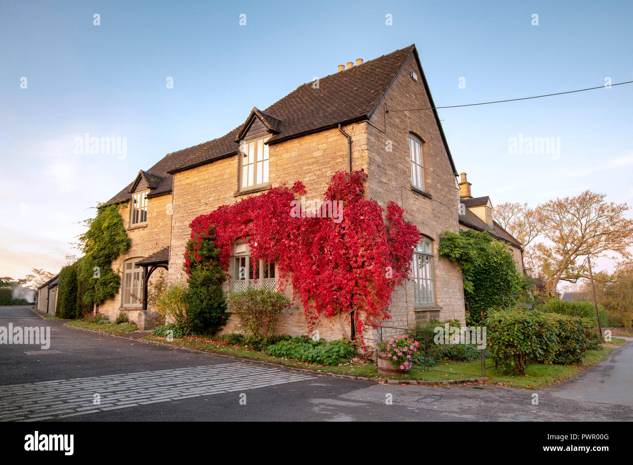 Parthenocissus quinquefolia.Virginia creeper / American ivy covering the walls of a house. Churchill, Cotswolds, Oxfordshire, England Stock Photo