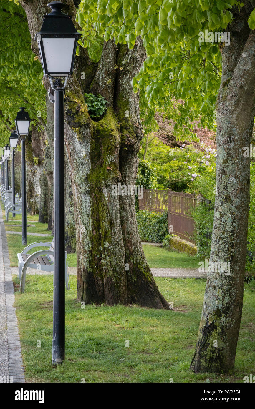 Vintage lampost and trees in Saint Valery sur Somme, France Stock Photo