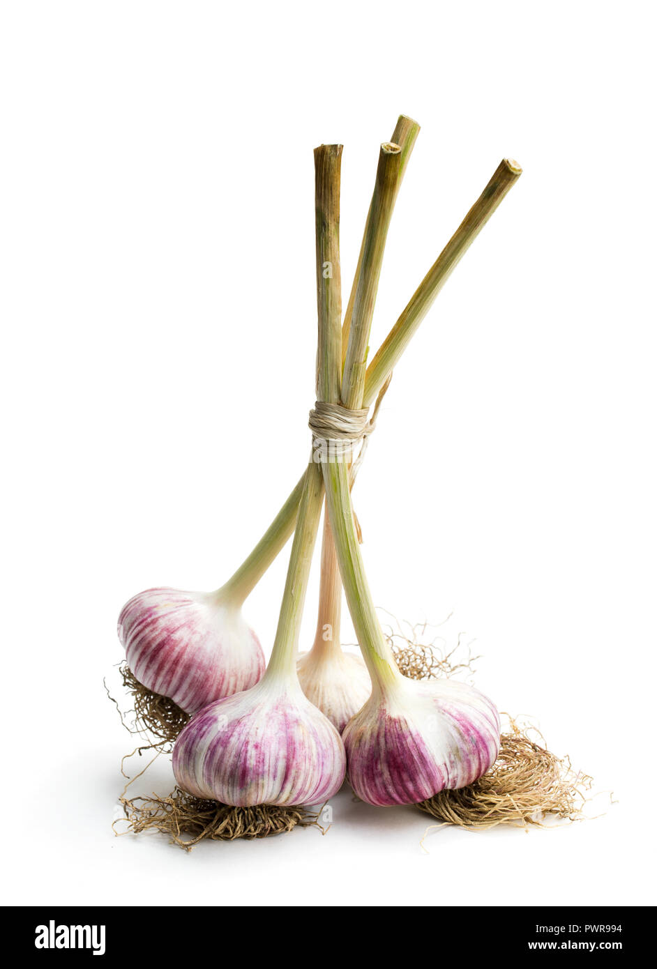 Garlic bulbs with stem and root isolated on white Stock Photo Alamy