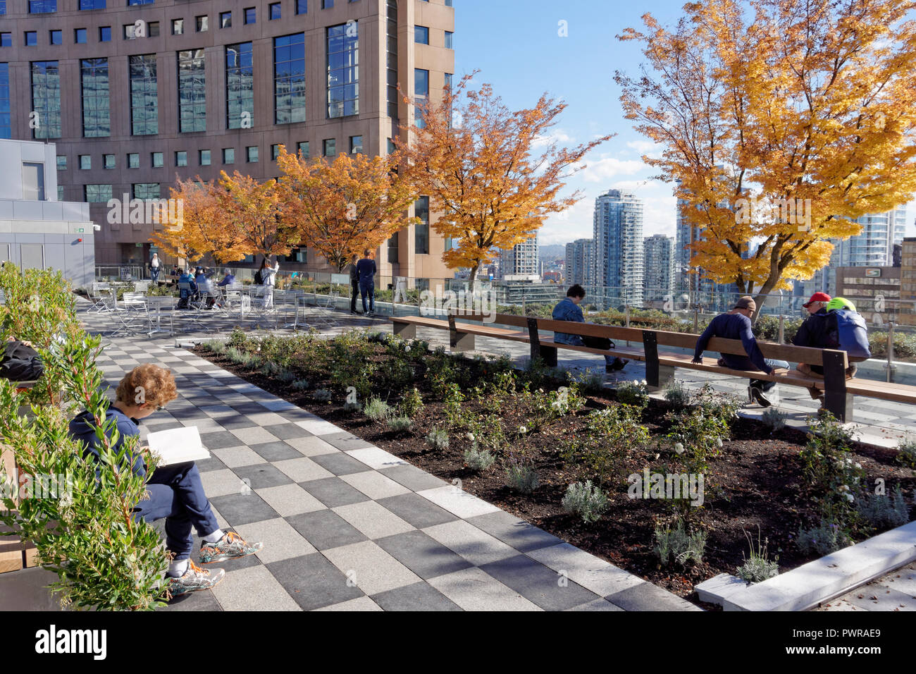 The Vancouver Public Library rooftop garden that opened on September 29, 2018, Vancouver, BC, Canada Stock Photo