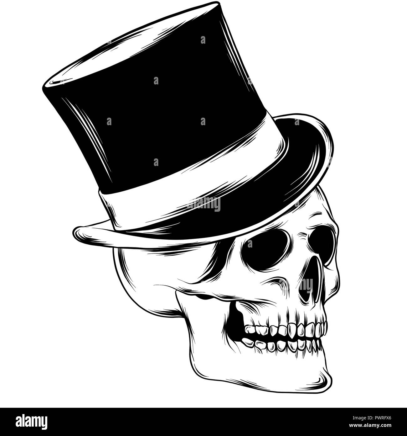 black and white illustration of human skull with a lower jaw in ink ...