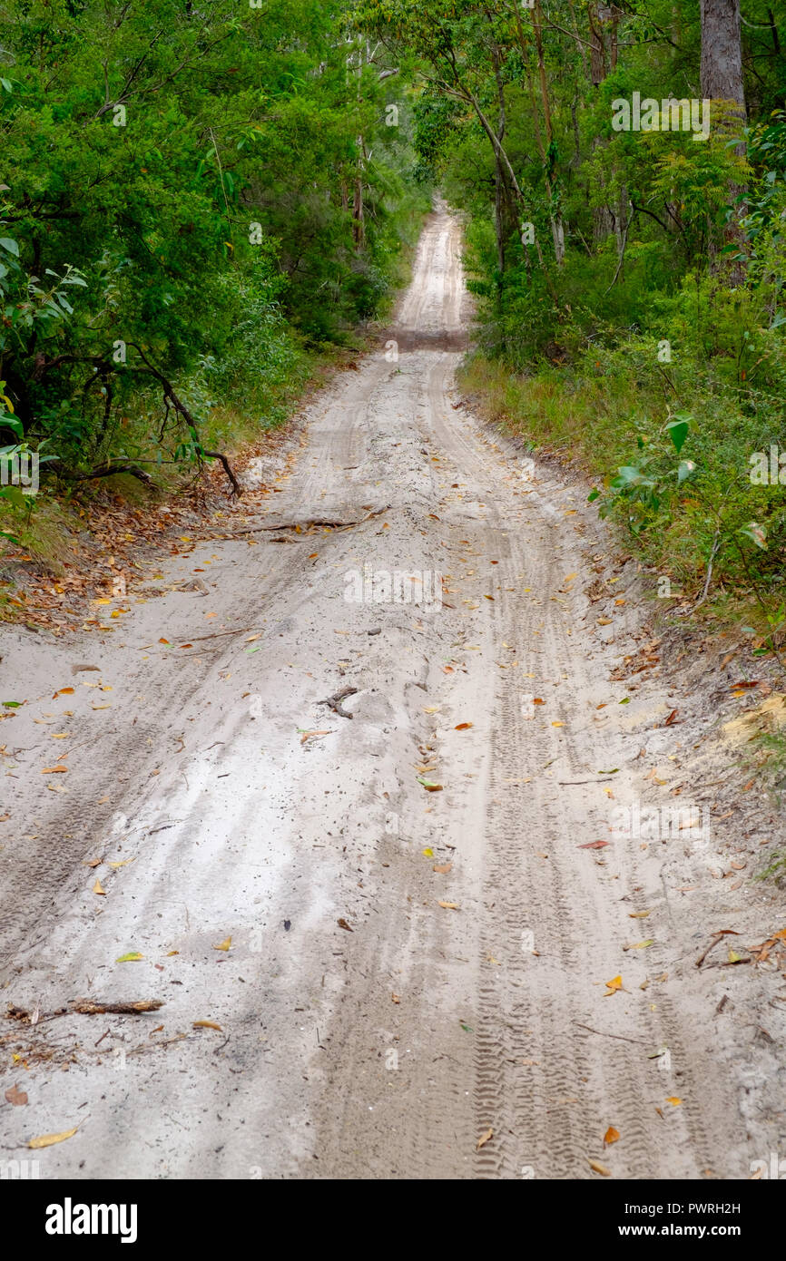 On Happy Valley Road Fraser Island Stock Photo Alamy