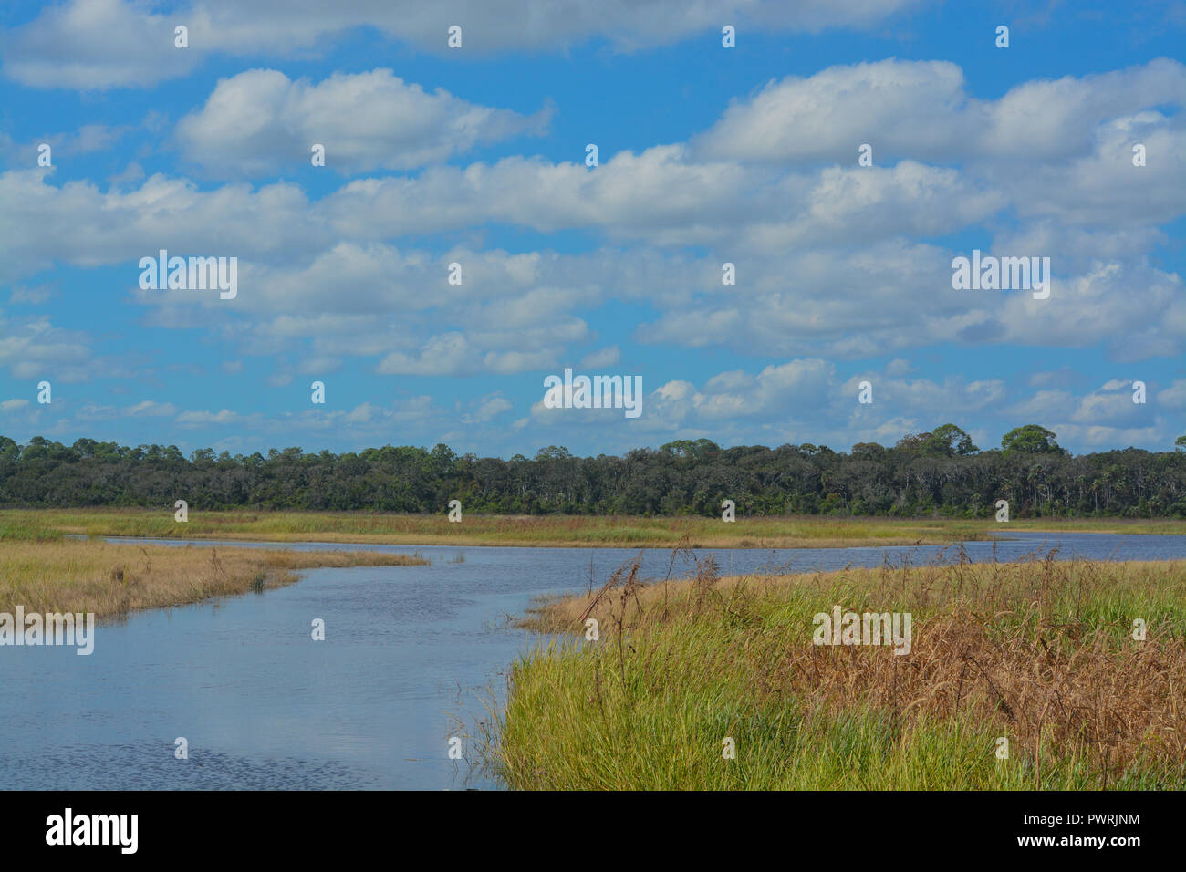 Guana River Wildlife Management Area in Florida Stock Photo