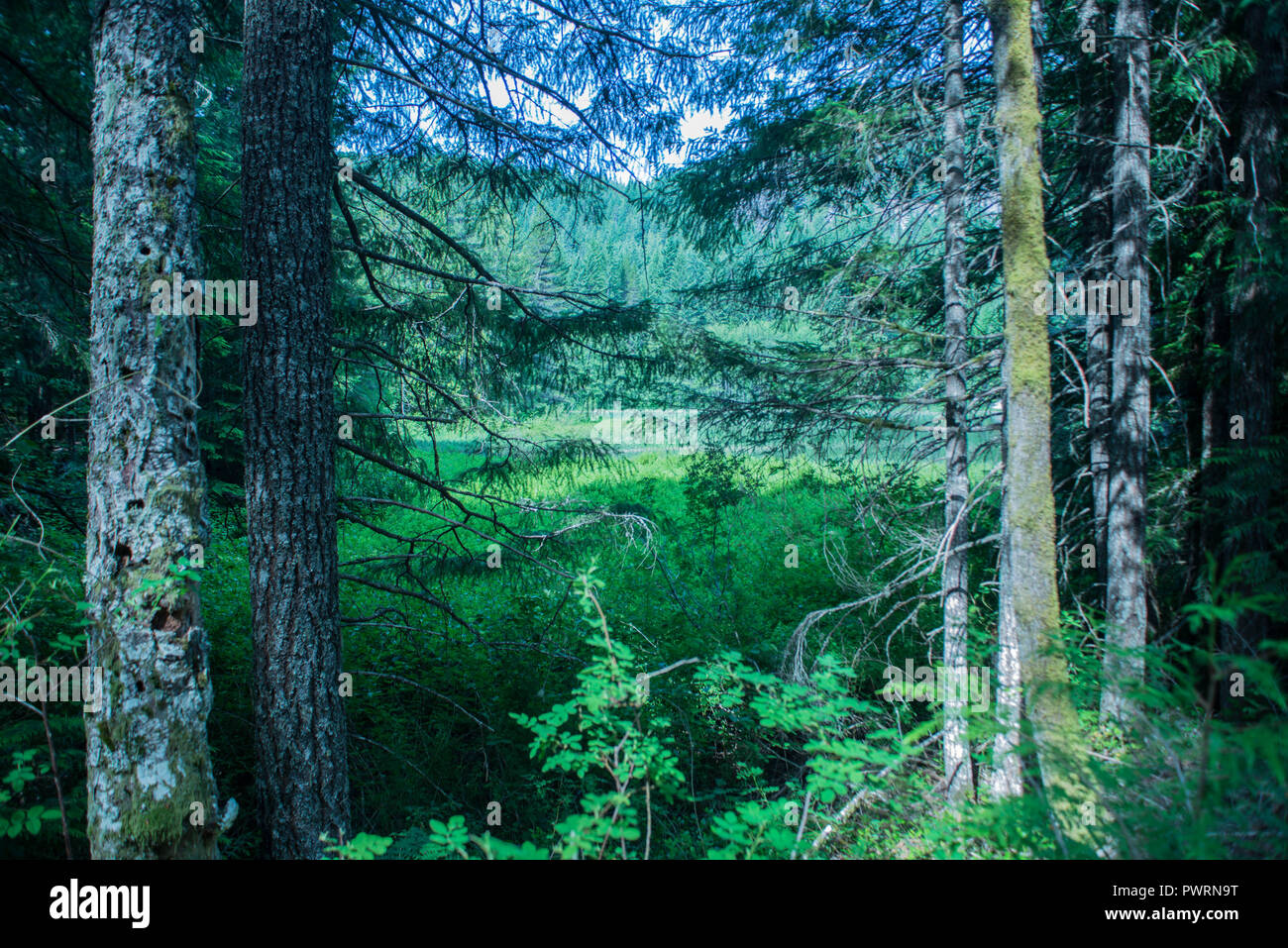 Beautiful hikes hi-res stock photography and images - Alamy