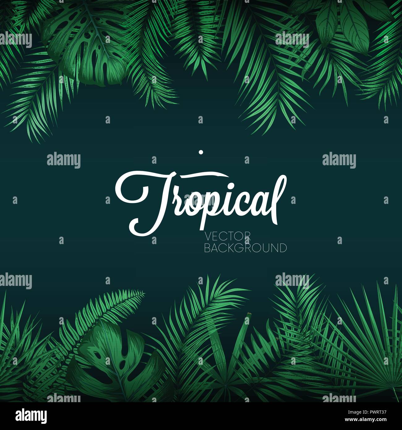 Tropical vector background with exotic green palm leaves template for ...
