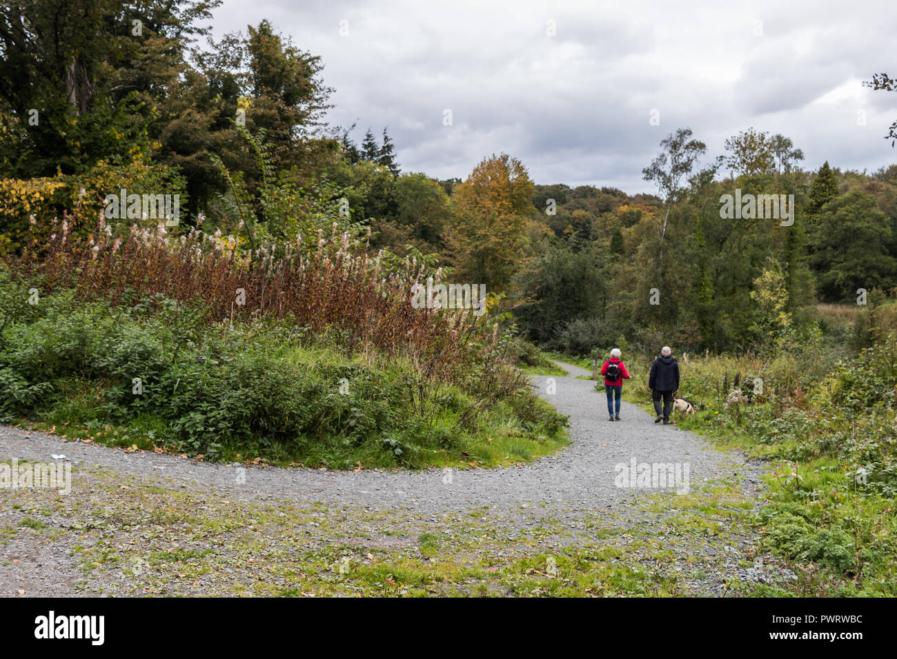 Two walkers and their dog on a forest path in Belvoir Park Forest in South Belfast, N.Ireland. Stock Photo